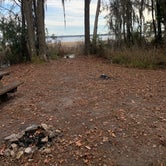 Review photo of Osceola National Forest Hog Pen Landing Campground by Abby M., January 18, 2021