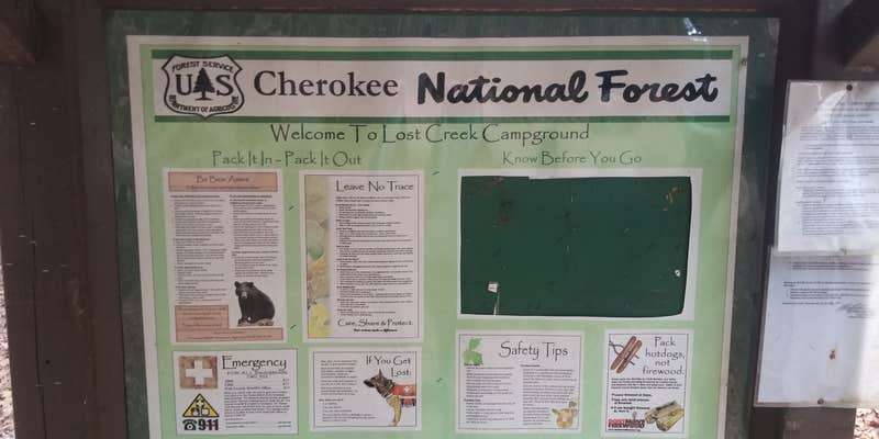 Camper submitted image from Lost Creek - Cherokee NF