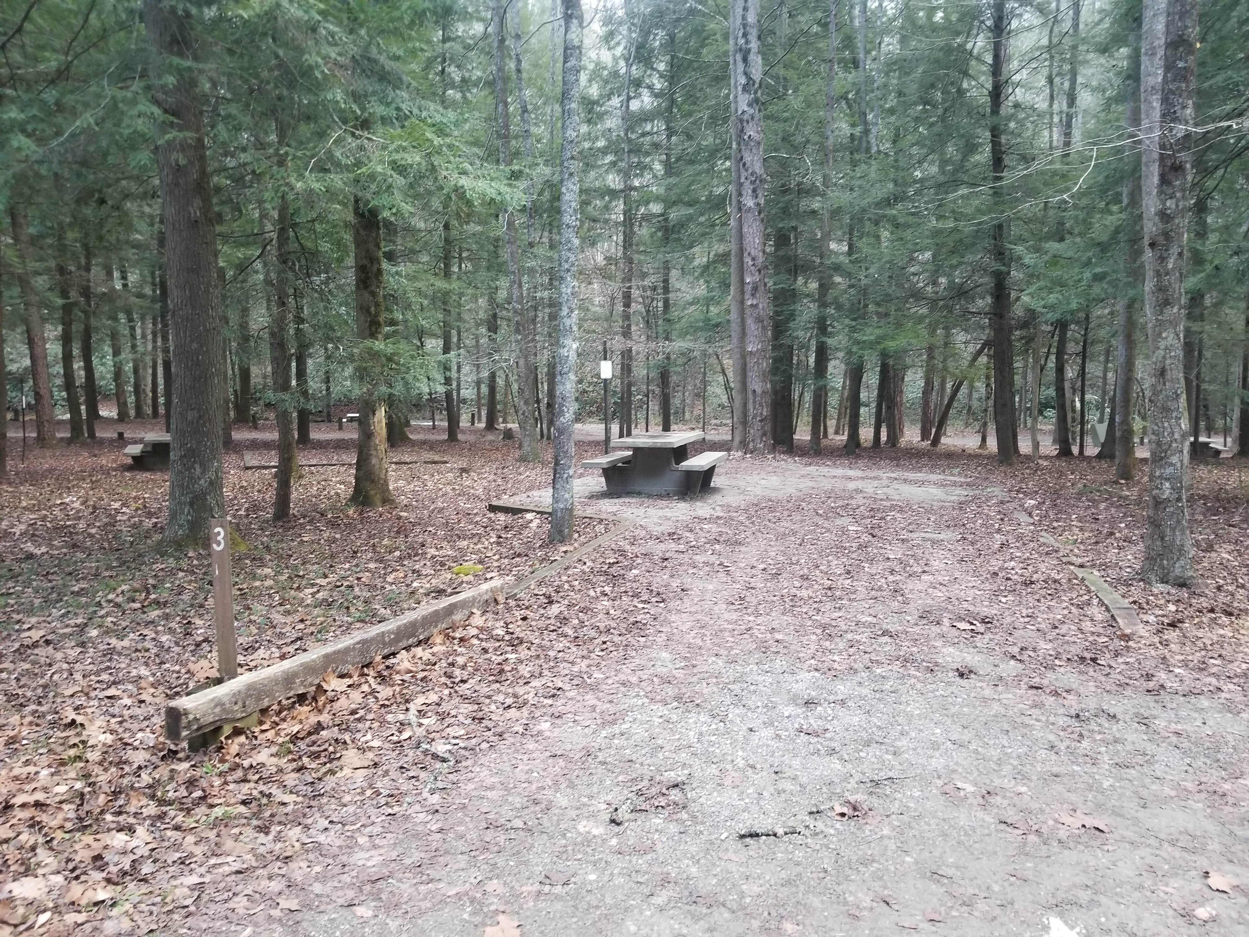 Camper-submitted photo at Lost Creek - Cherokee NF near Benton, TN