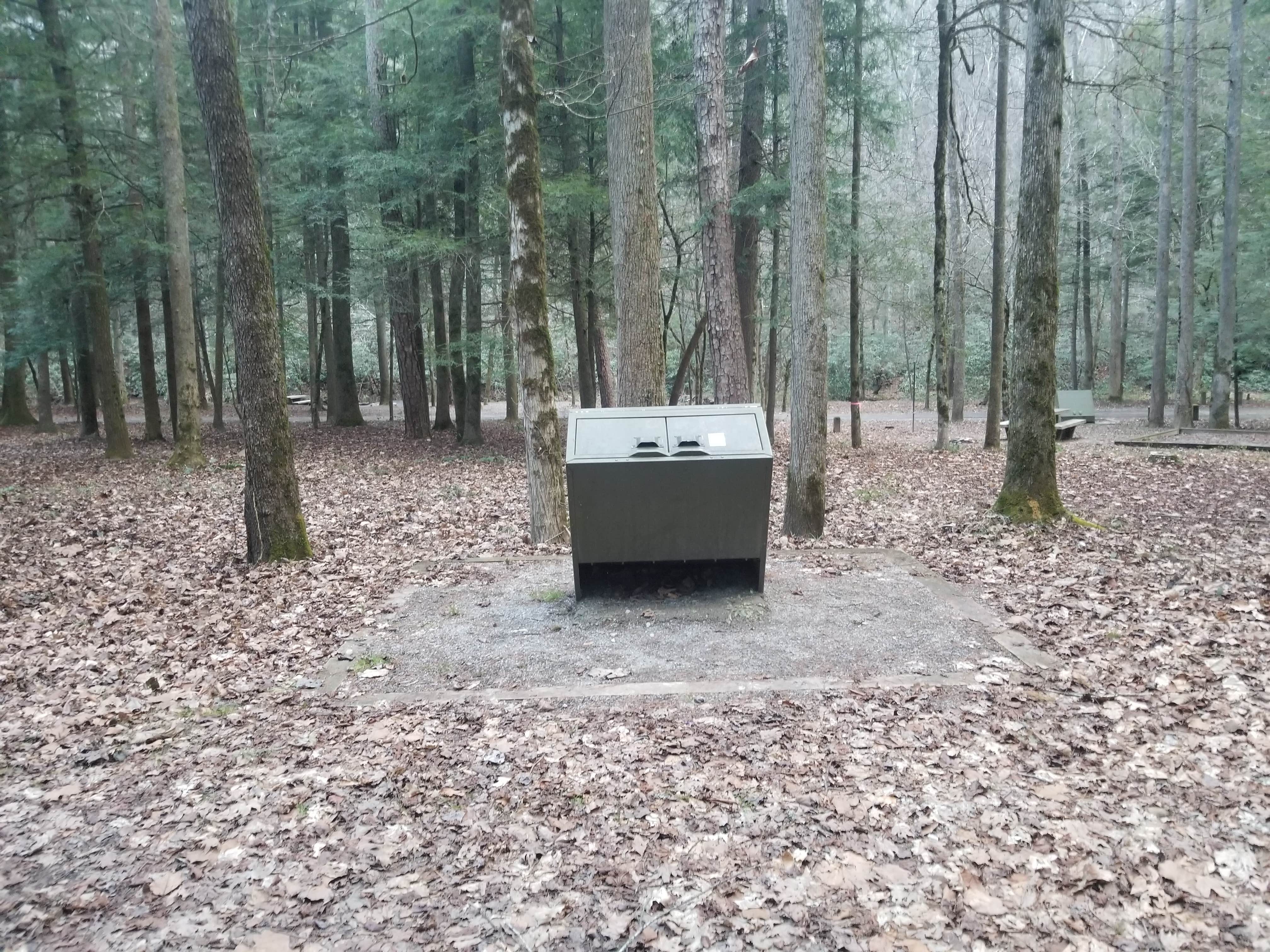 Camper submitted image from Lost Creek - Cherokee NF - 4