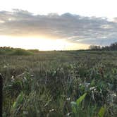 Review photo of Pink Jeep Campground — Big Cypress National Preserve by Armando F., January 18, 2021