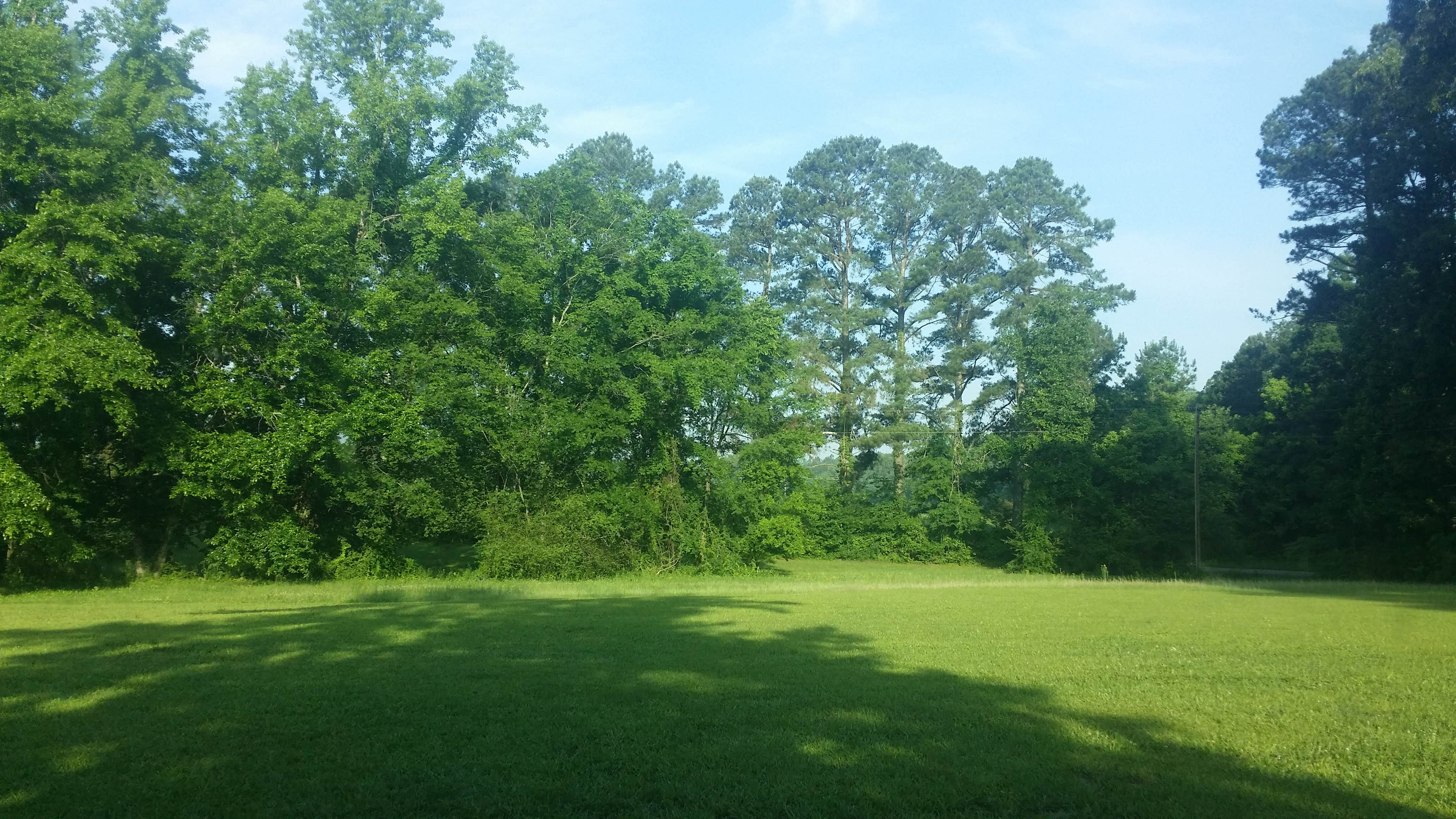 Camper submitted image from Vicksburg Battlefield Campground - 4