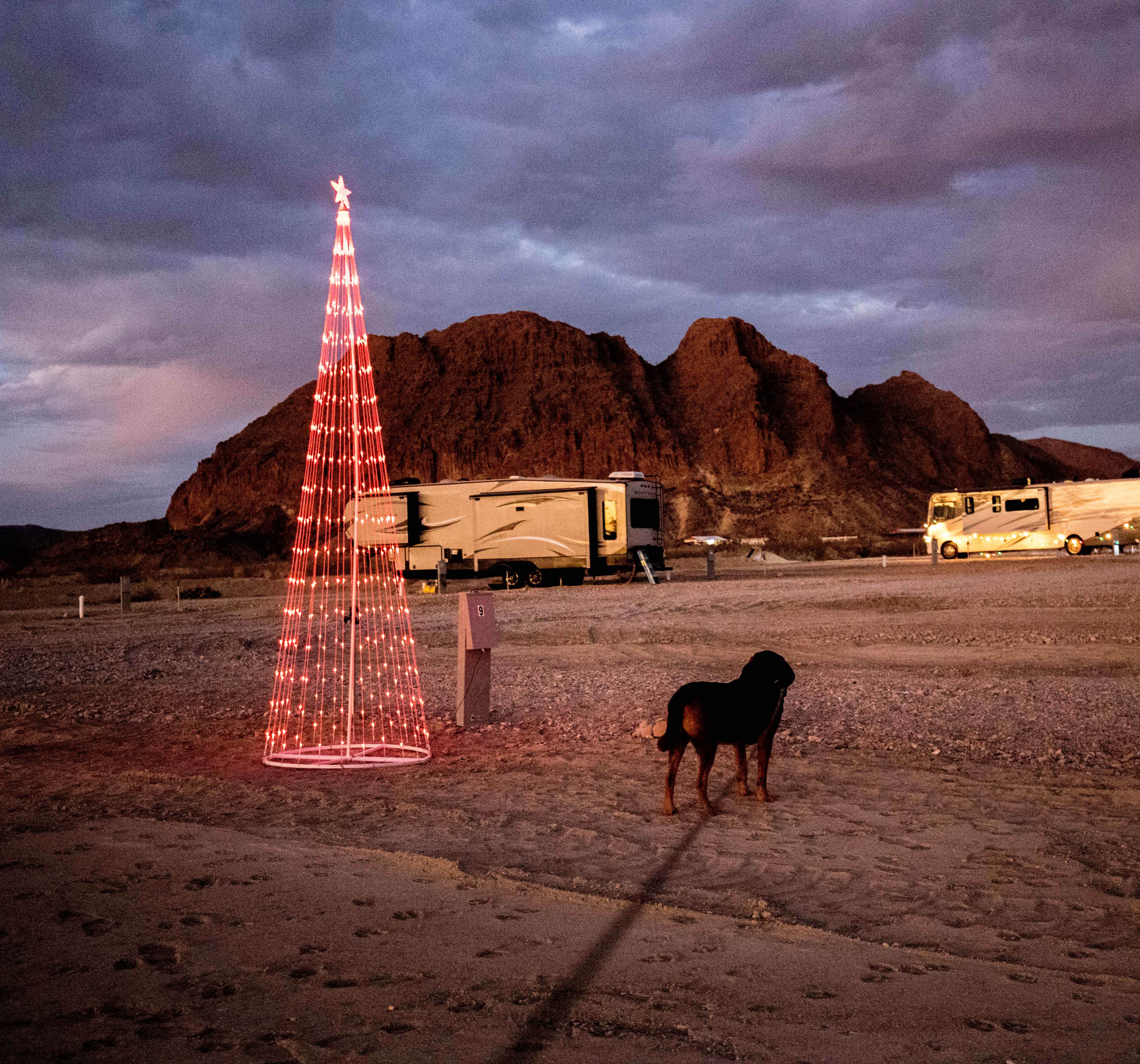 Allison's photo at RoadRunner Travelers RV Park near Terlingua, TX