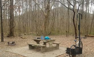 Camping near Olde English Farm: Gee Creek Campground — Hiwassee/Ocoee Scenic River State Park, Delano, Tennessee