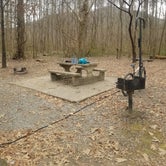 Review photo of Gee Creek Campground — Hiwassee/Ocoee Scenic River State Park by Gregg G., January 19, 2021