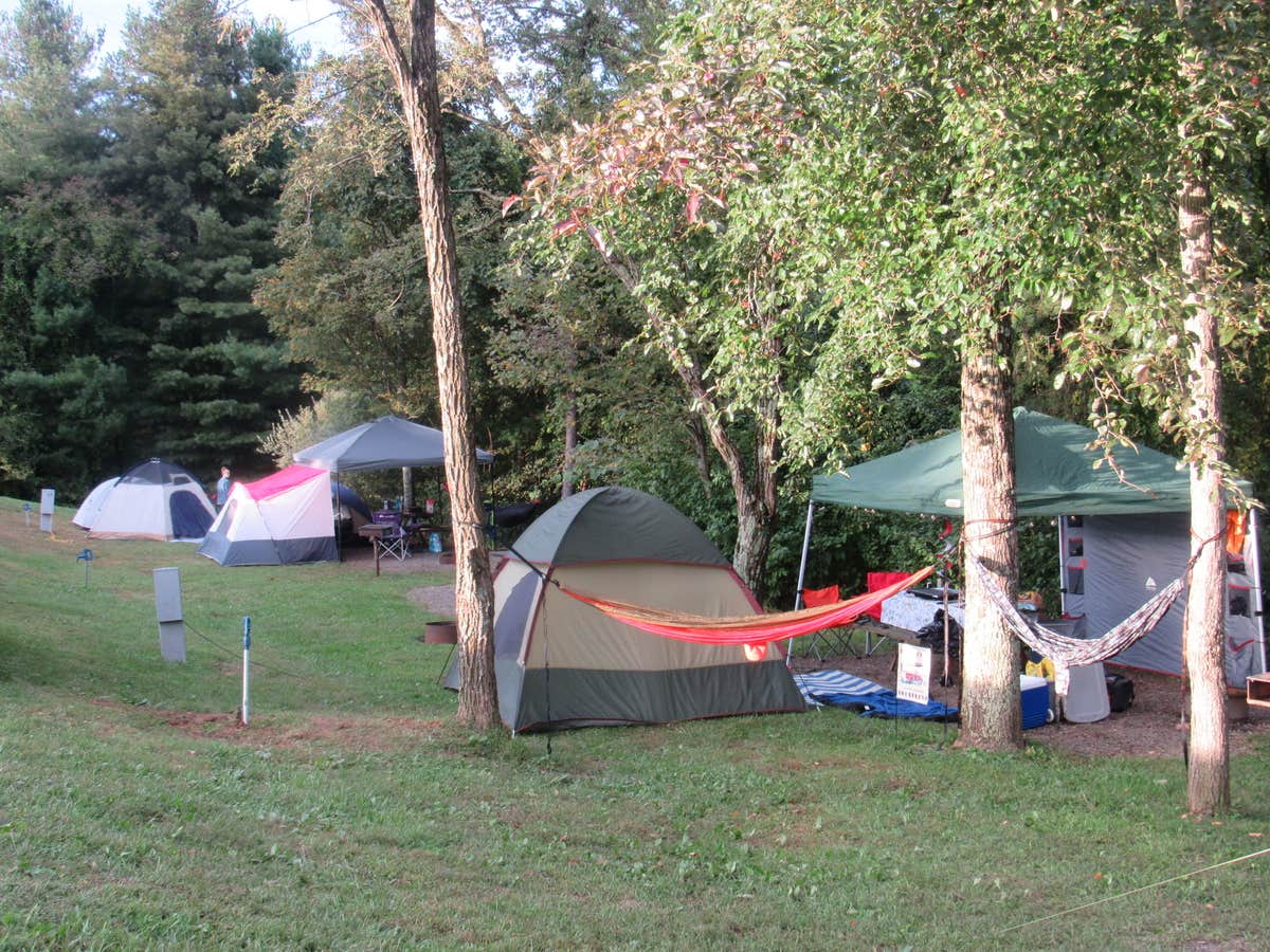 Jennifer  W.'s photo at Fancy Gap Cabins and Campground near Pilot Mountain, NC