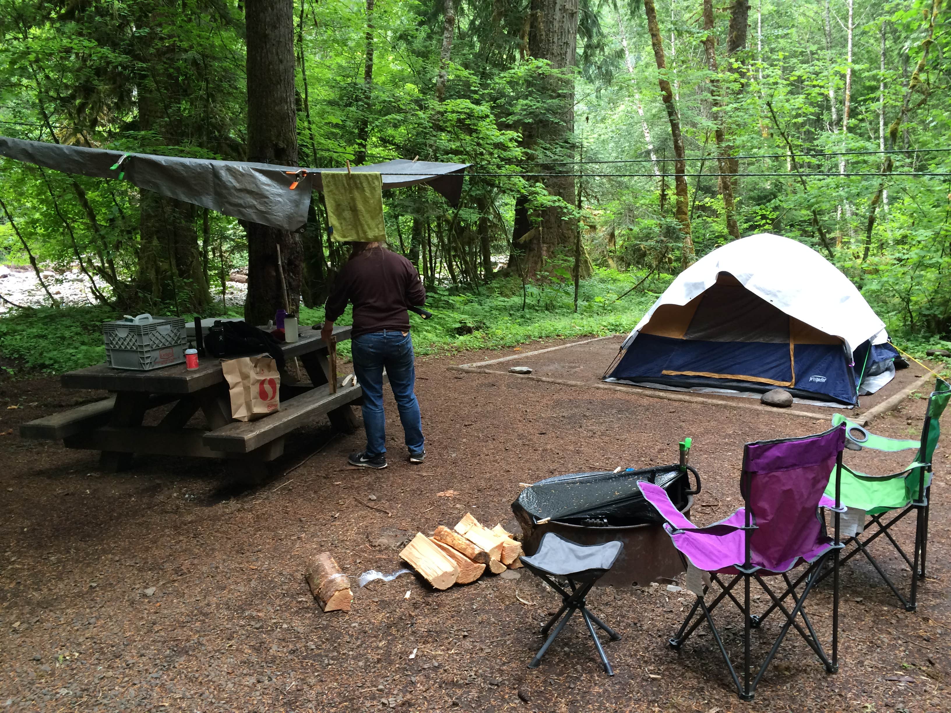 Camper submitted image from Paradise Creek Campground - 4