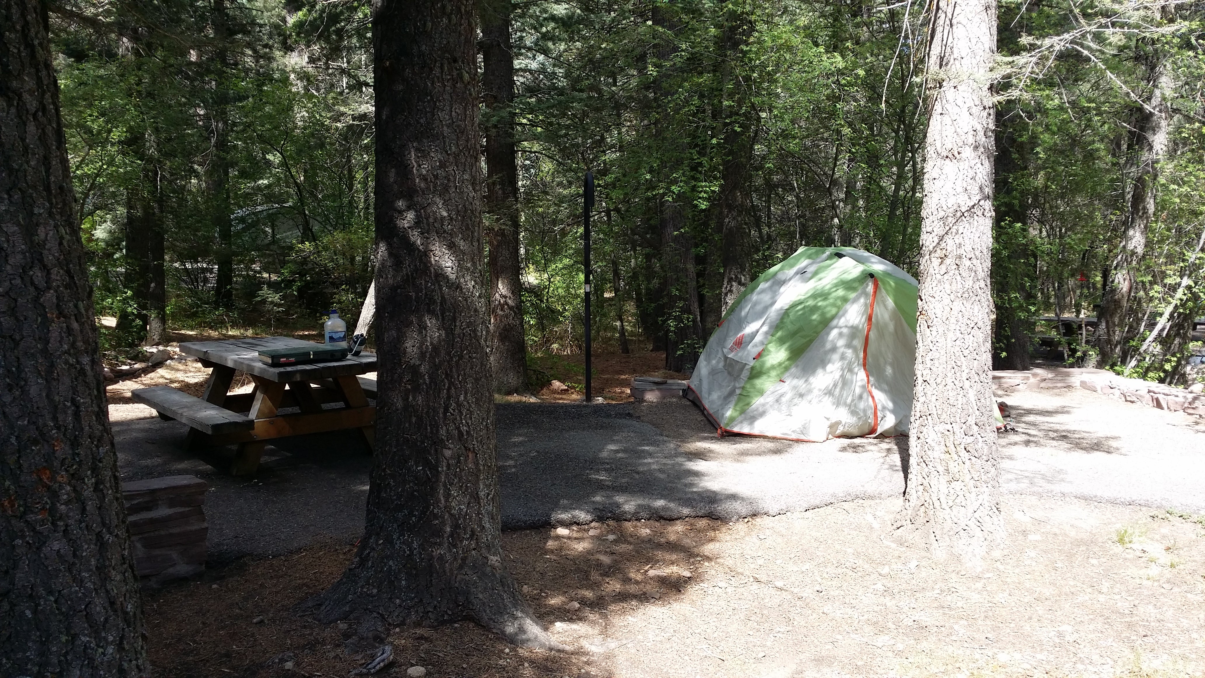 Camper submitted image from Black Canyon Campground - Lower - 4