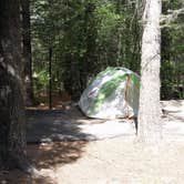 Review photo of Black Canyon Campground - Lower by Court M., May 28, 2018