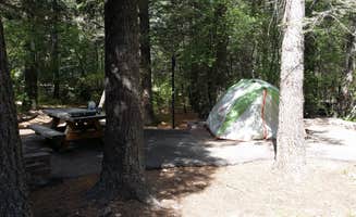 Court M.'s photo of tent camping at Black Canyon Campground - Lower near Gila National Forest