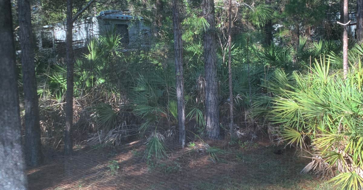 Best Cabin Camping Near Miramar Beach FL best-cabin-camping-near-miramar-beach-fl