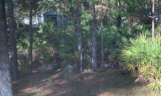 Camping near 3 Bedroom Vacation home, with Full hookup Camper pad. : Topsail Hill Preserve State Park Campground, Santa Rosa Beach, Florida