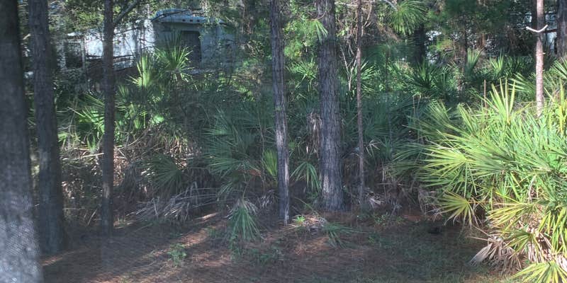 Camper submitted image from Topsail Hill Preserve State Park Campground