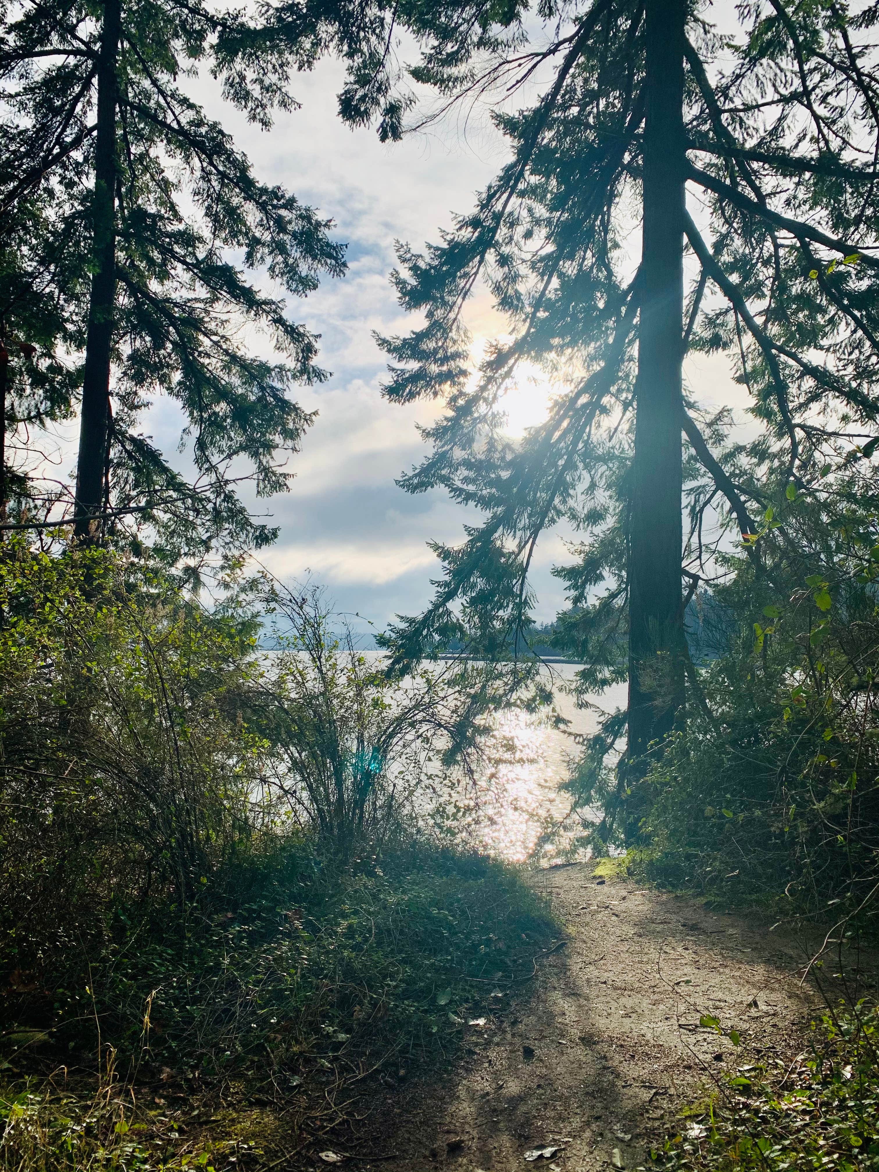 Camper-submitted photo at Manchester State Park Campground near Normandy Park, WA