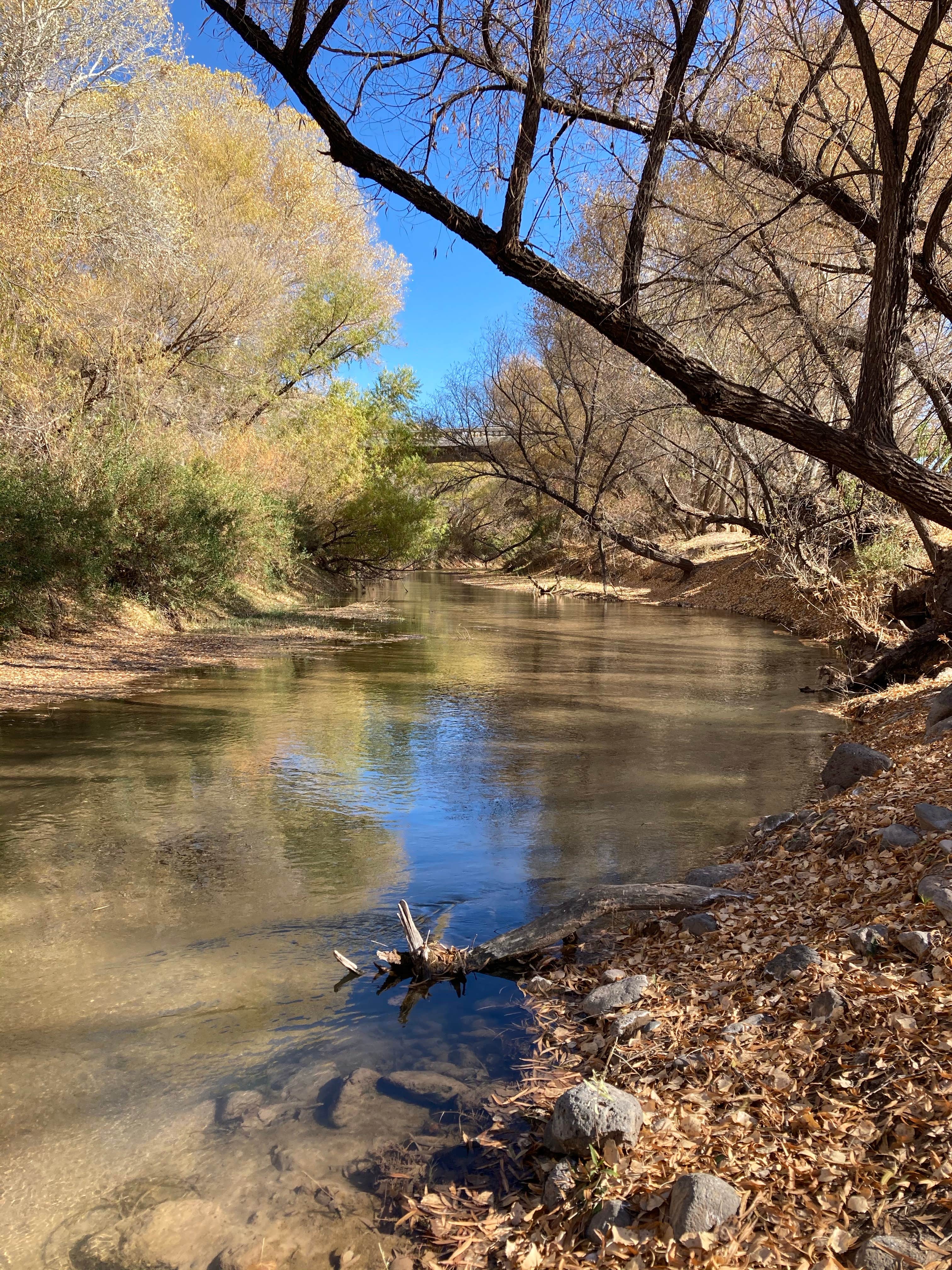 Camper-submitted photo at Owl Creek Campground near Morenci, AZ