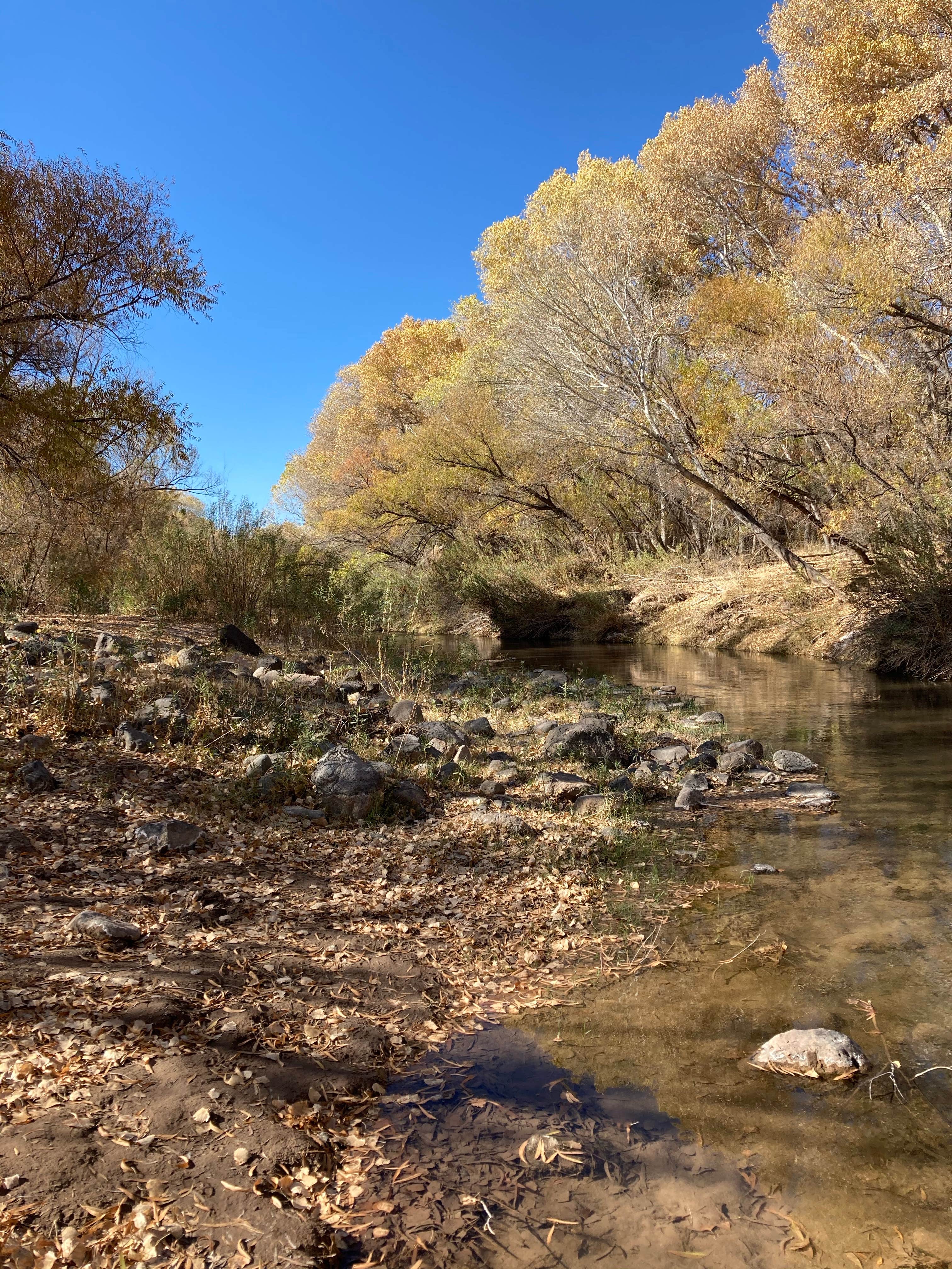 Camper-submitted photo at Owl Creek Campground near Morenci, AZ