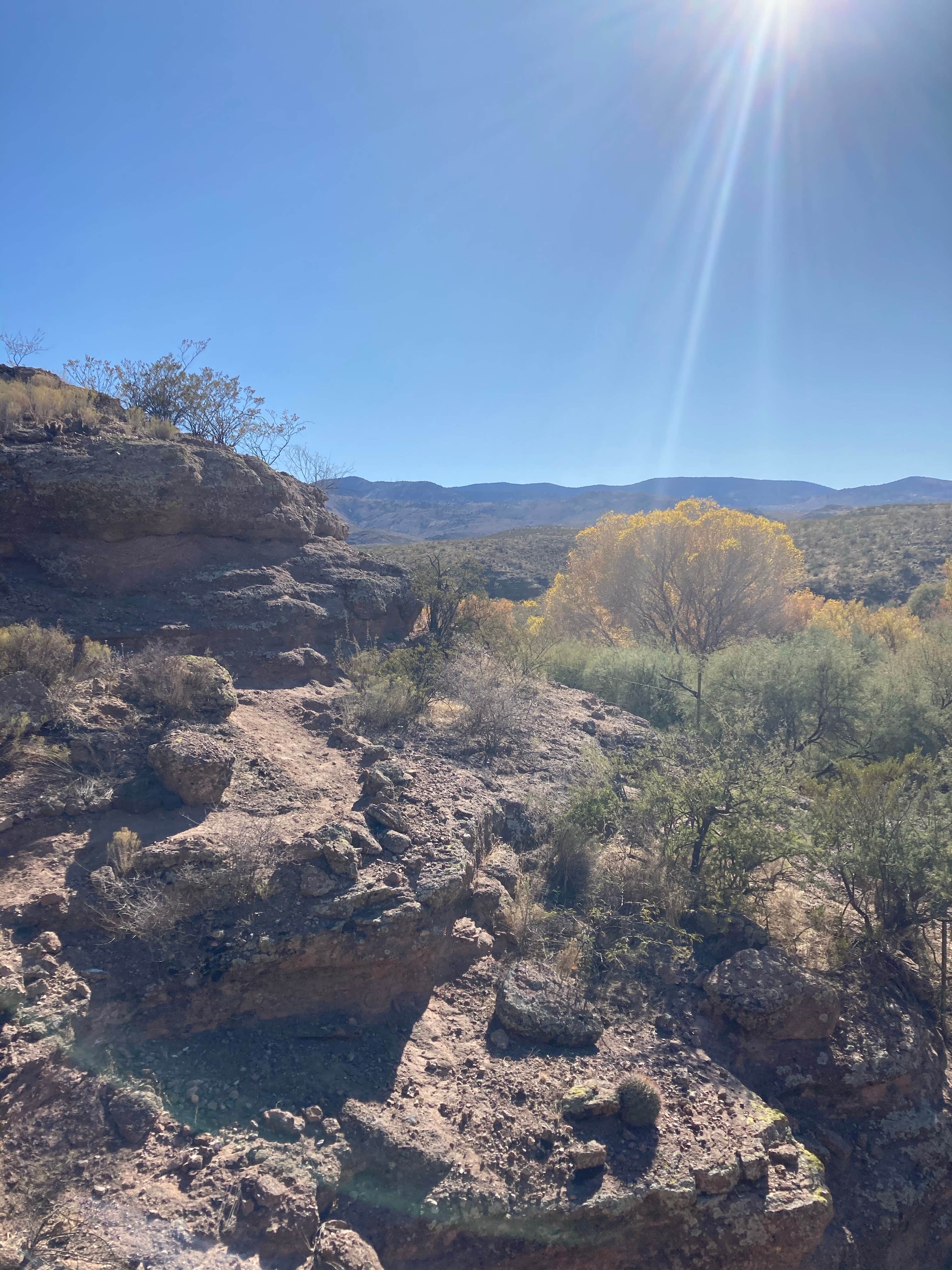 Camper-submitted photo at Owl Creek Campground near Morenci, AZ