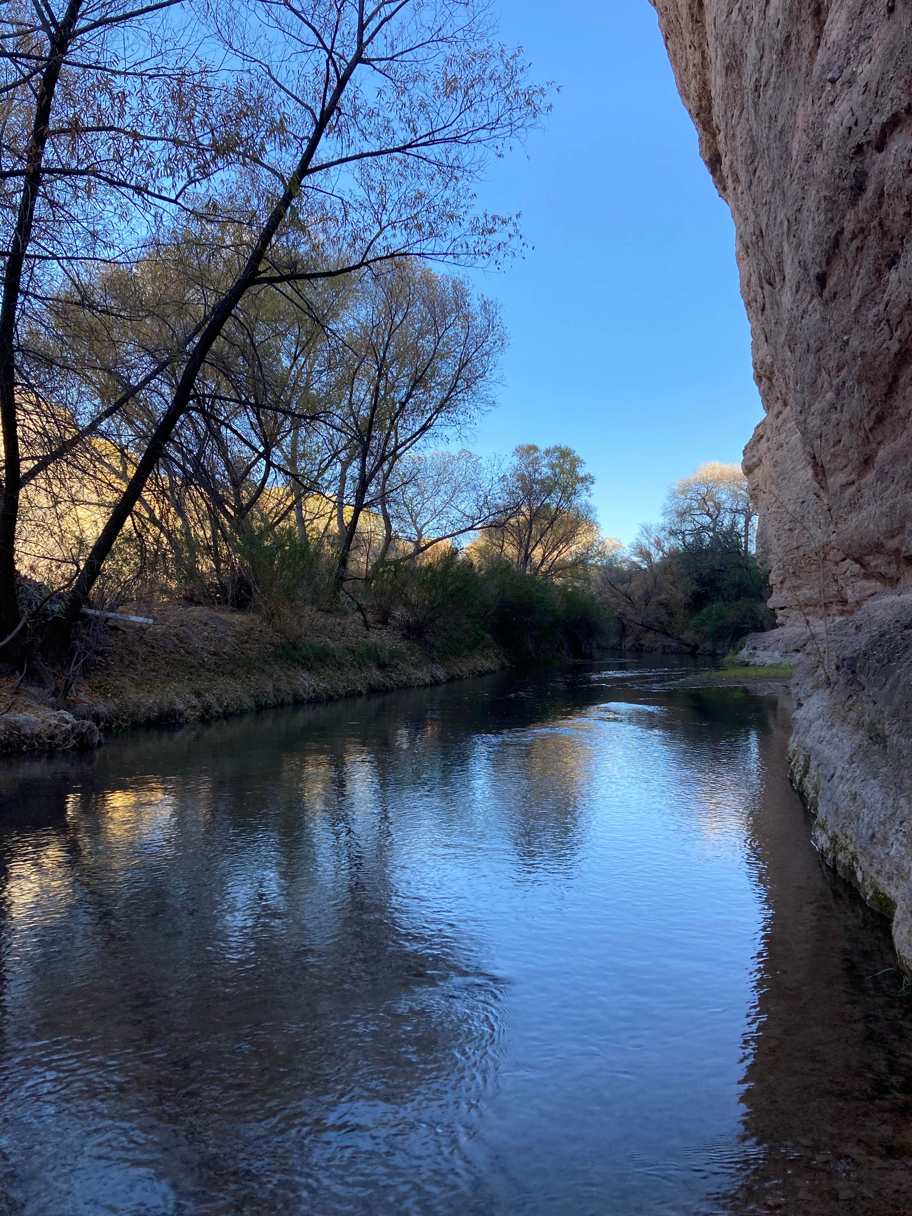 Camper-submitted photo at Owl Creek Campground near Morenci, AZ