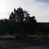 Review photo of El Morro National Monument by Court M., May 28, 2018