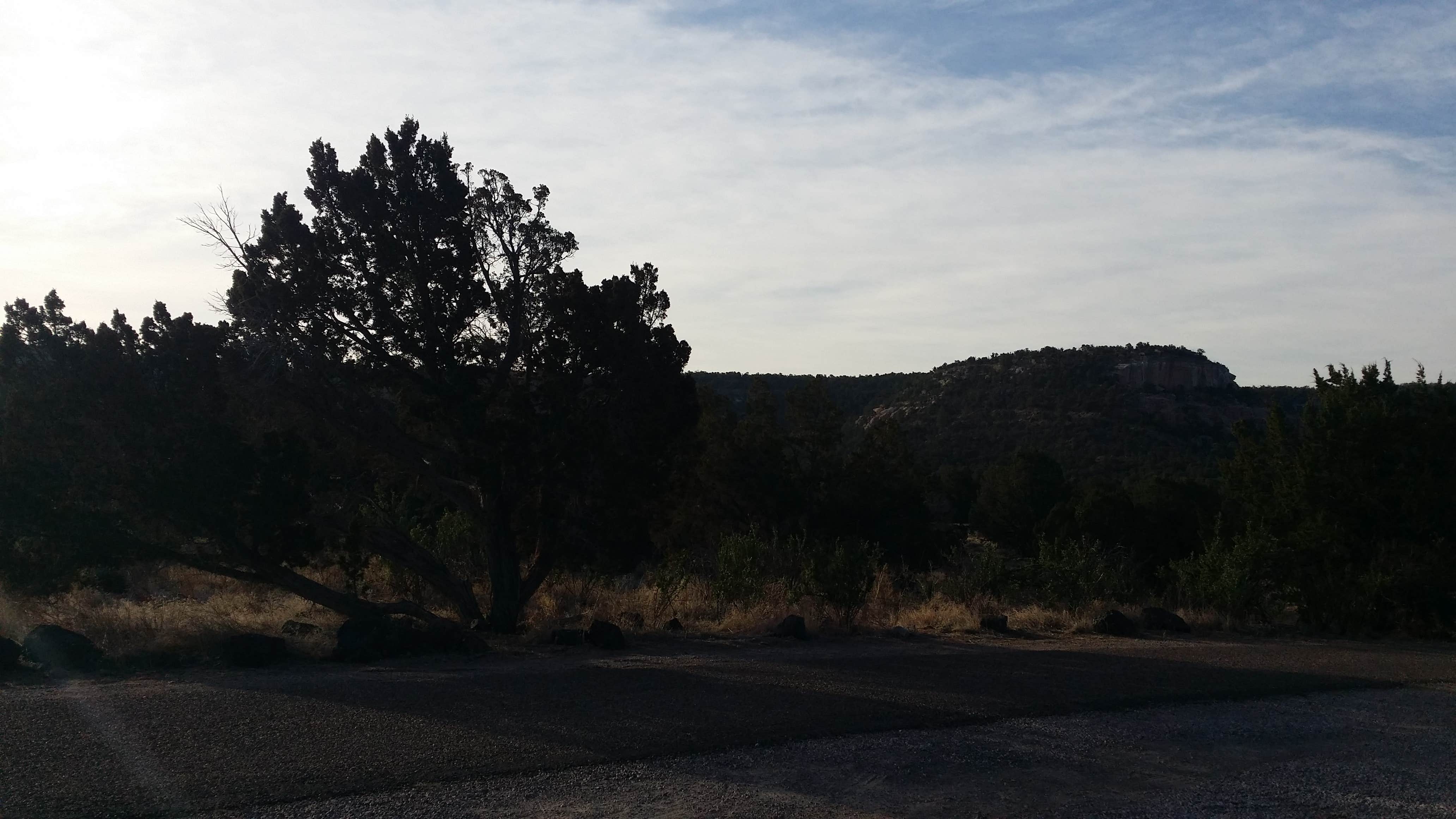 Camper submitted image from El Morro National Monument - 3