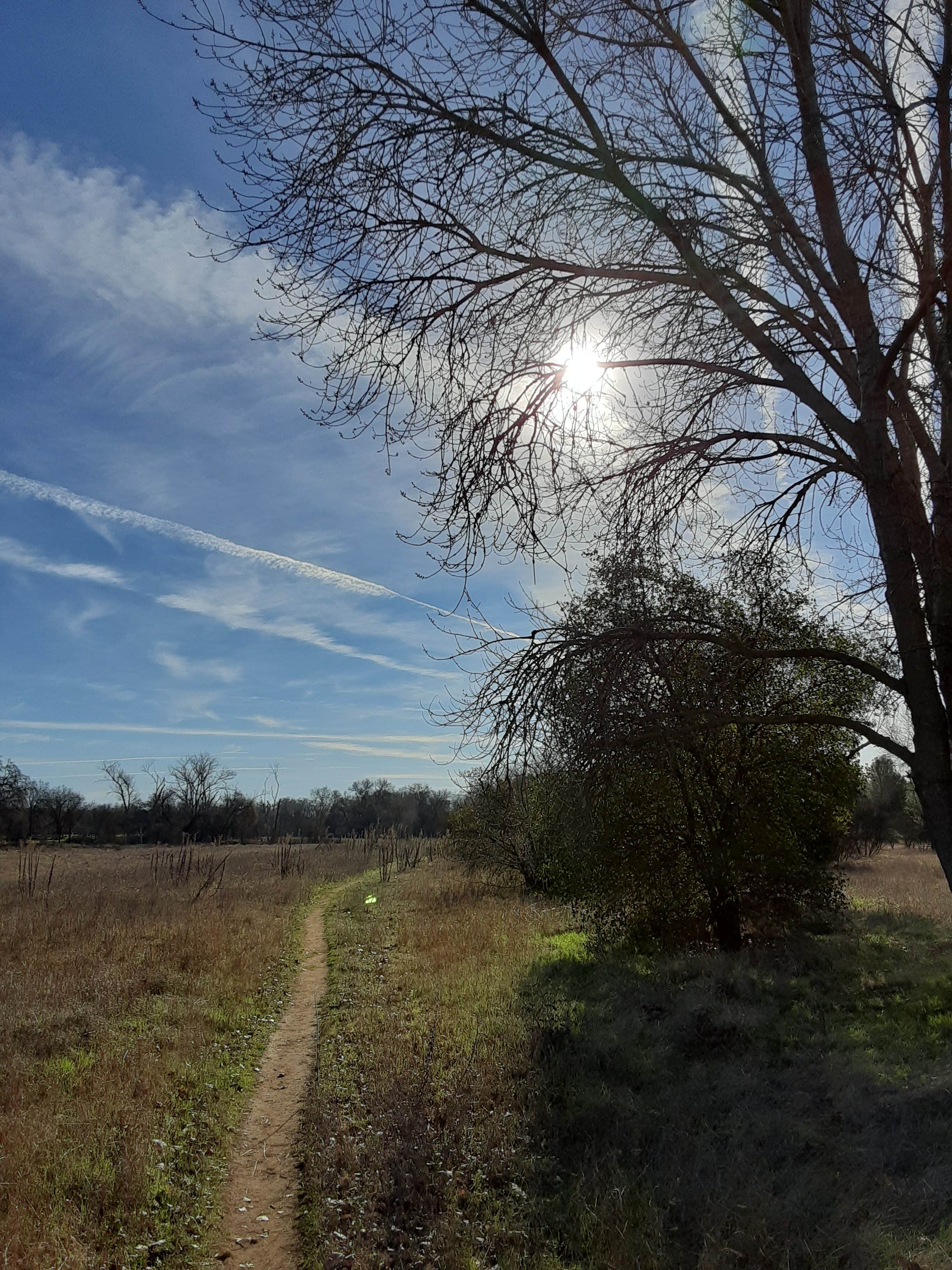 Camper submitted image from Sycamore Grove (red Bluff) Campground - 2