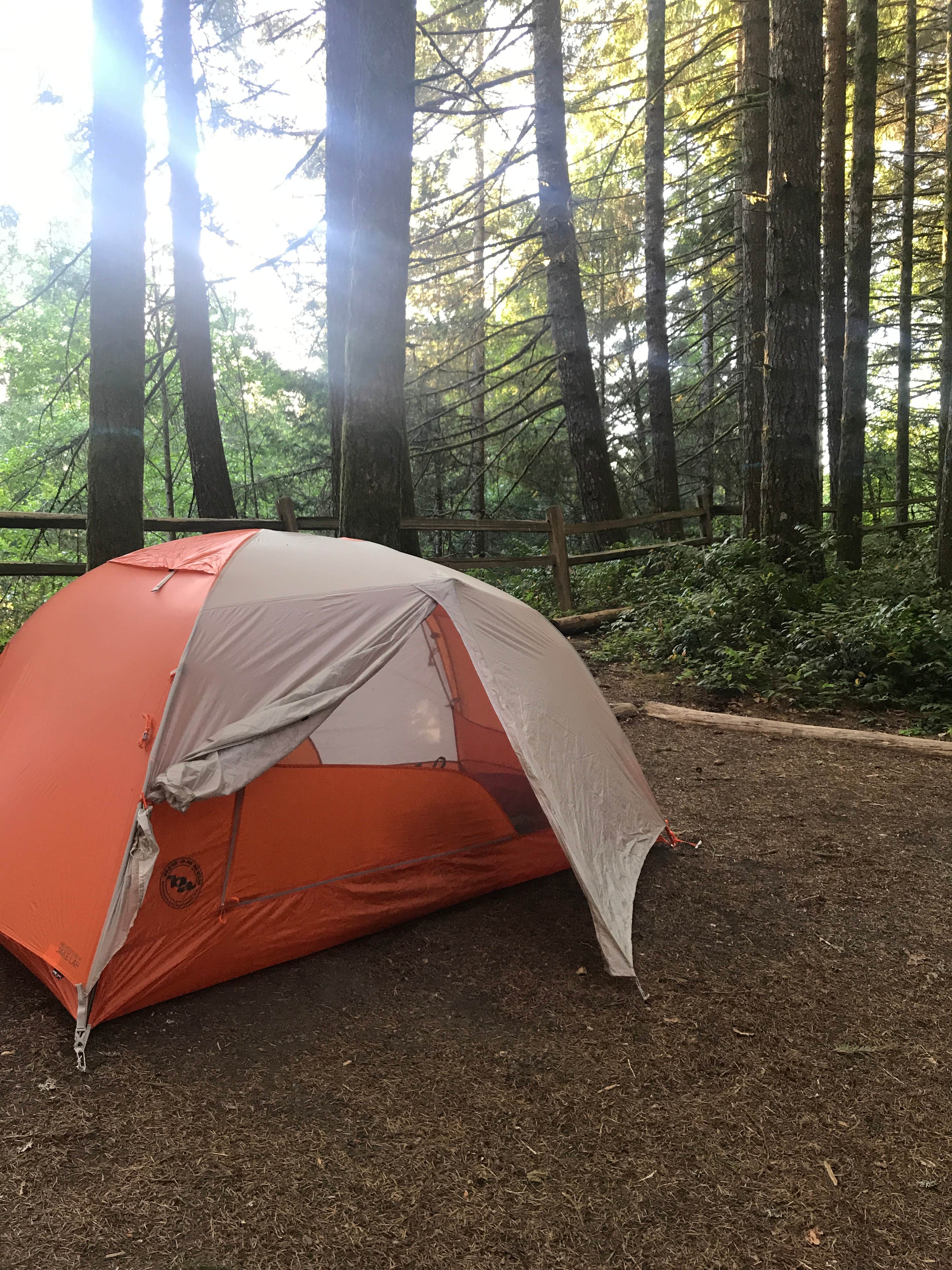 Camper submitted image from Dairy Creek West — L.L. Stub Stewart Memorial State Park - 4