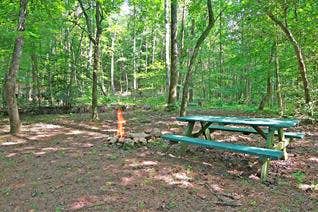 Camper submitted image from Under The Hemlock Campground and Cabins - 4