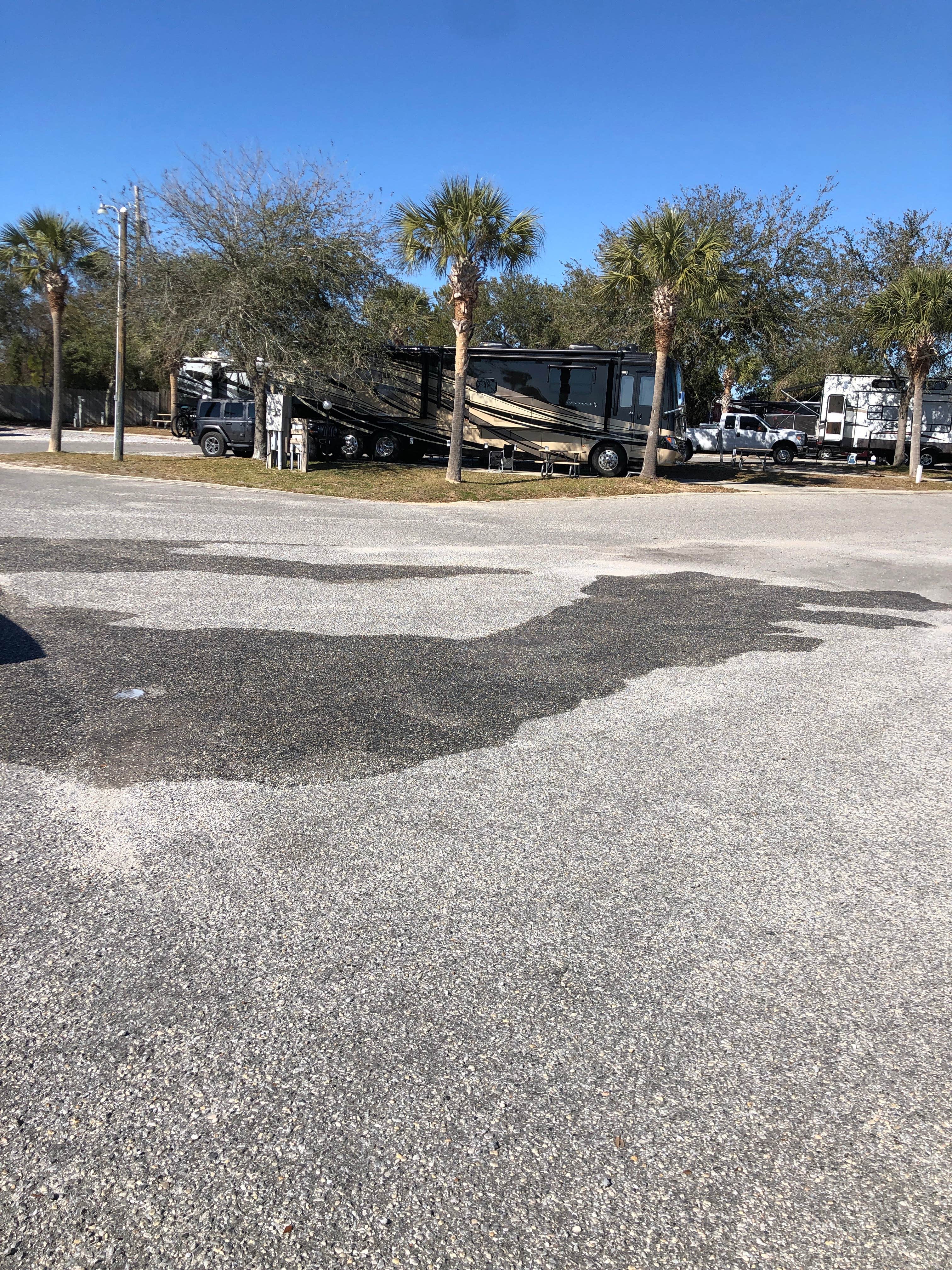 Camper submitted image from Emerald Beach RV Park - 4