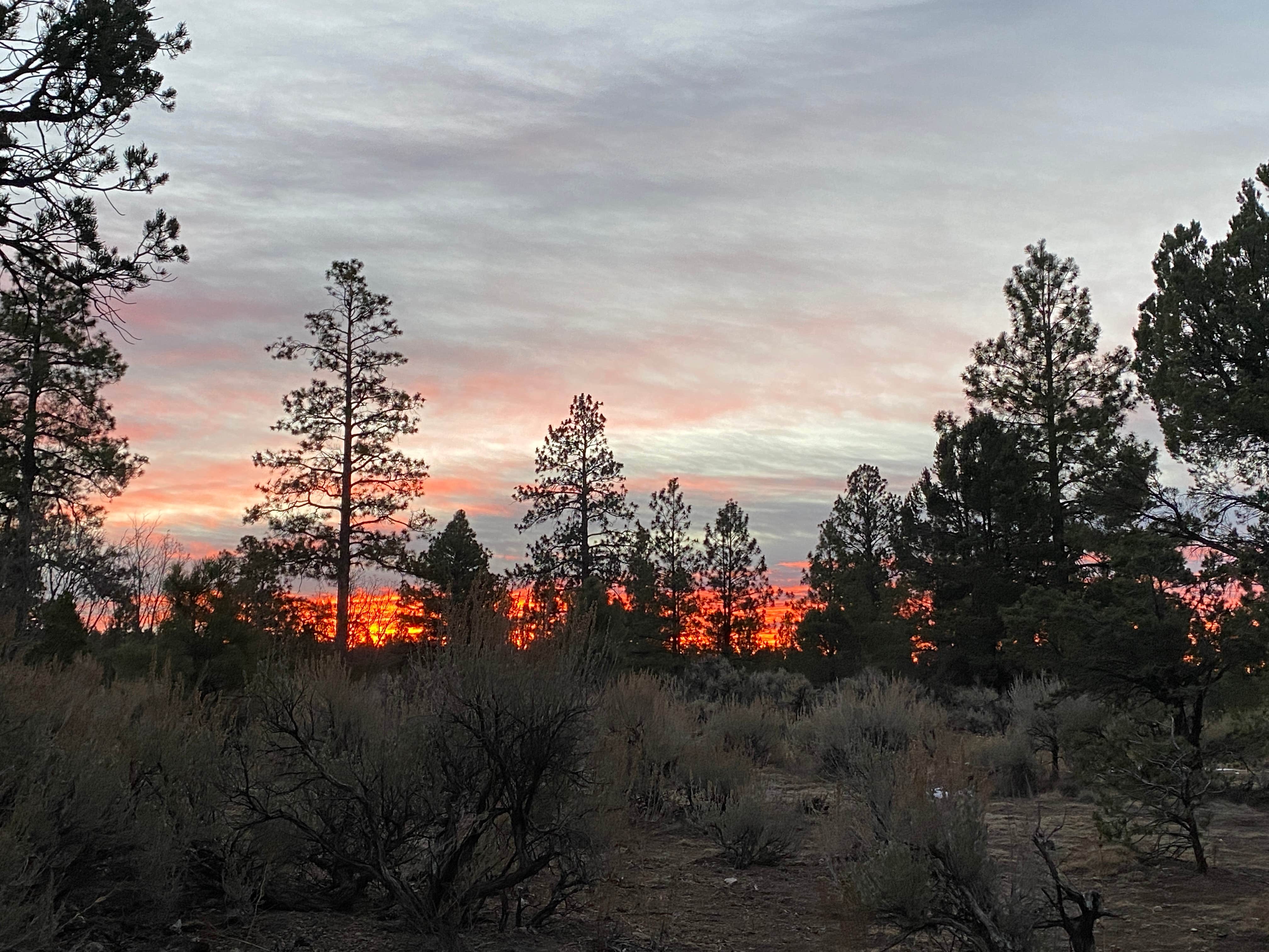 Camper-submitted photo at Forest Service Road 328 Dispersed in Arizona