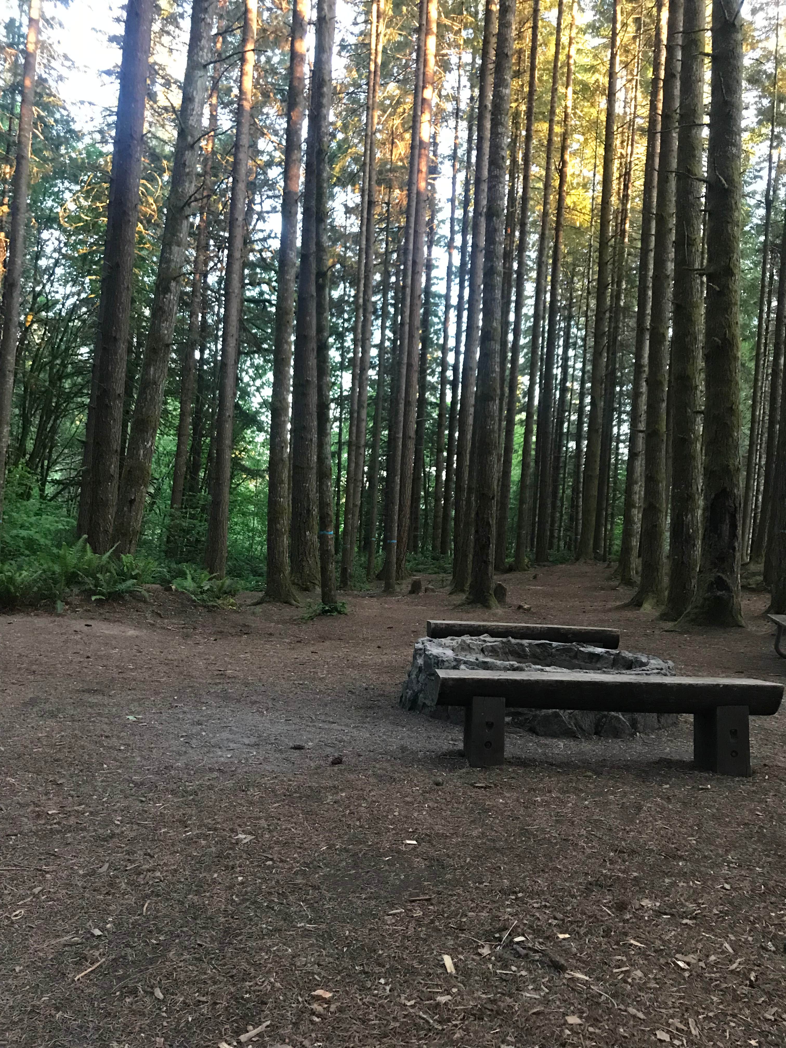 Camper submitted image from Dairy Creek West - L L Stub Stewart State Park — L.L. Stub Stewart State Park - 4