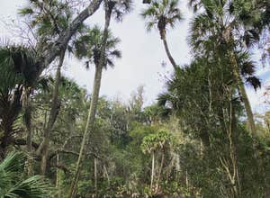 Blue Spring State Park Campground