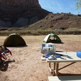 Review photo of Fruita Campground — Capitol Reef National Park by Tim D., May 28, 2018