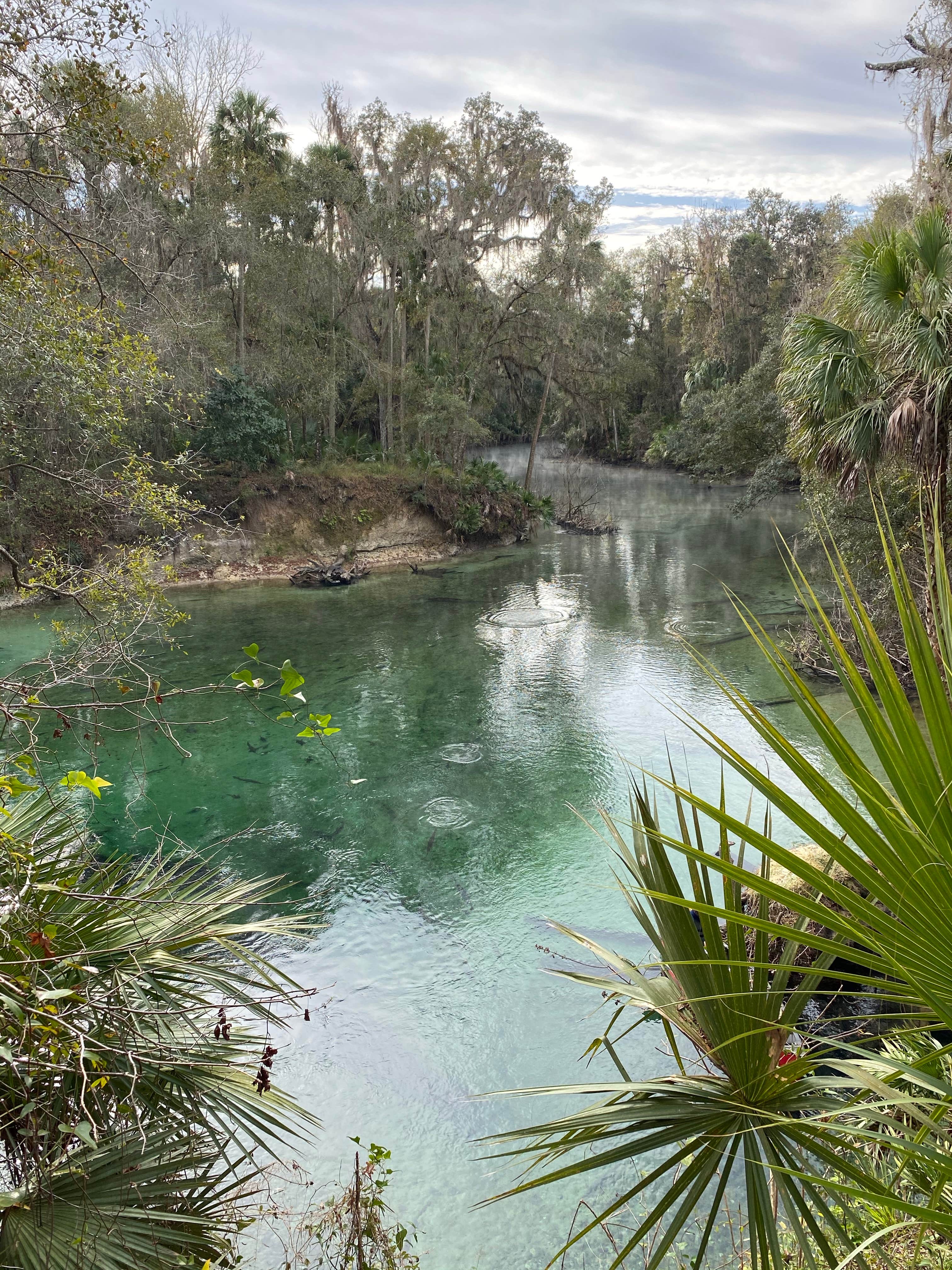 Camper-submitted photo at Blue Spring State Park Campground near Osteen, FL