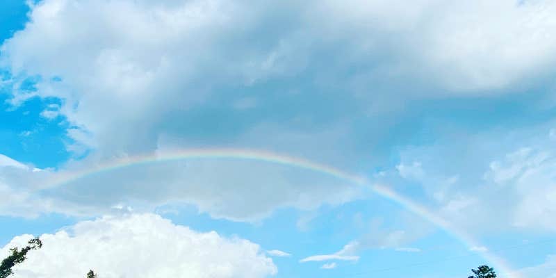 Camper submitted image from Florida Caverns RV Resort