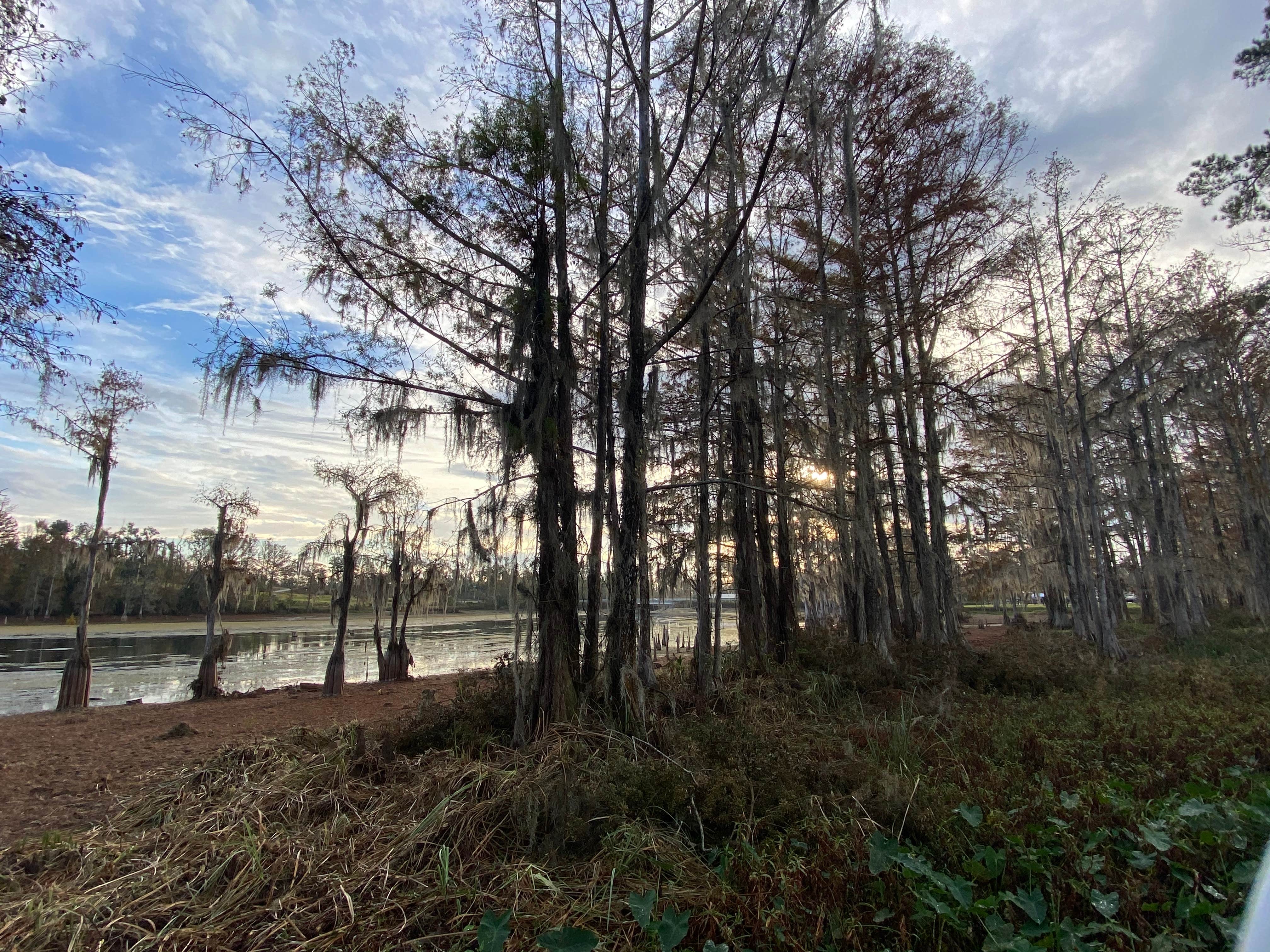 Camper submitted image from Florida Caverns RV Resort - 2