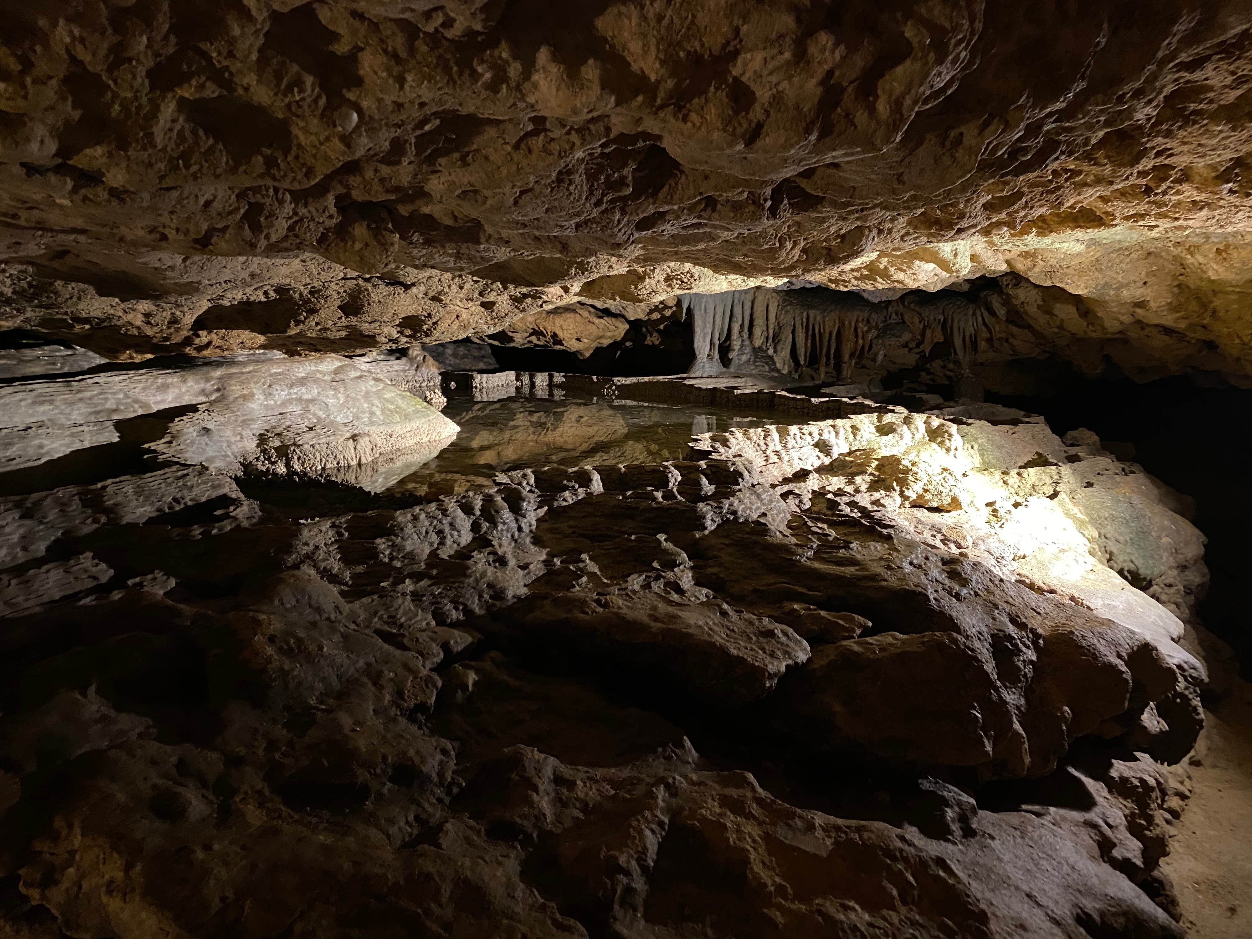 Blue Hole Campground — Florida Caverns State Park