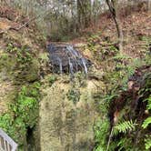 Review photo of Falling Waters State Park Campground by Jenn B., January 19, 2021