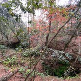 Review photo of Falling Waters State Park Campground by Jenn B., January 19, 2021