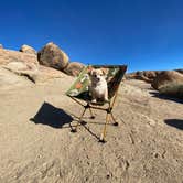 Review photo of Alabama Hills Recreation Area by liz A., January 19, 2021