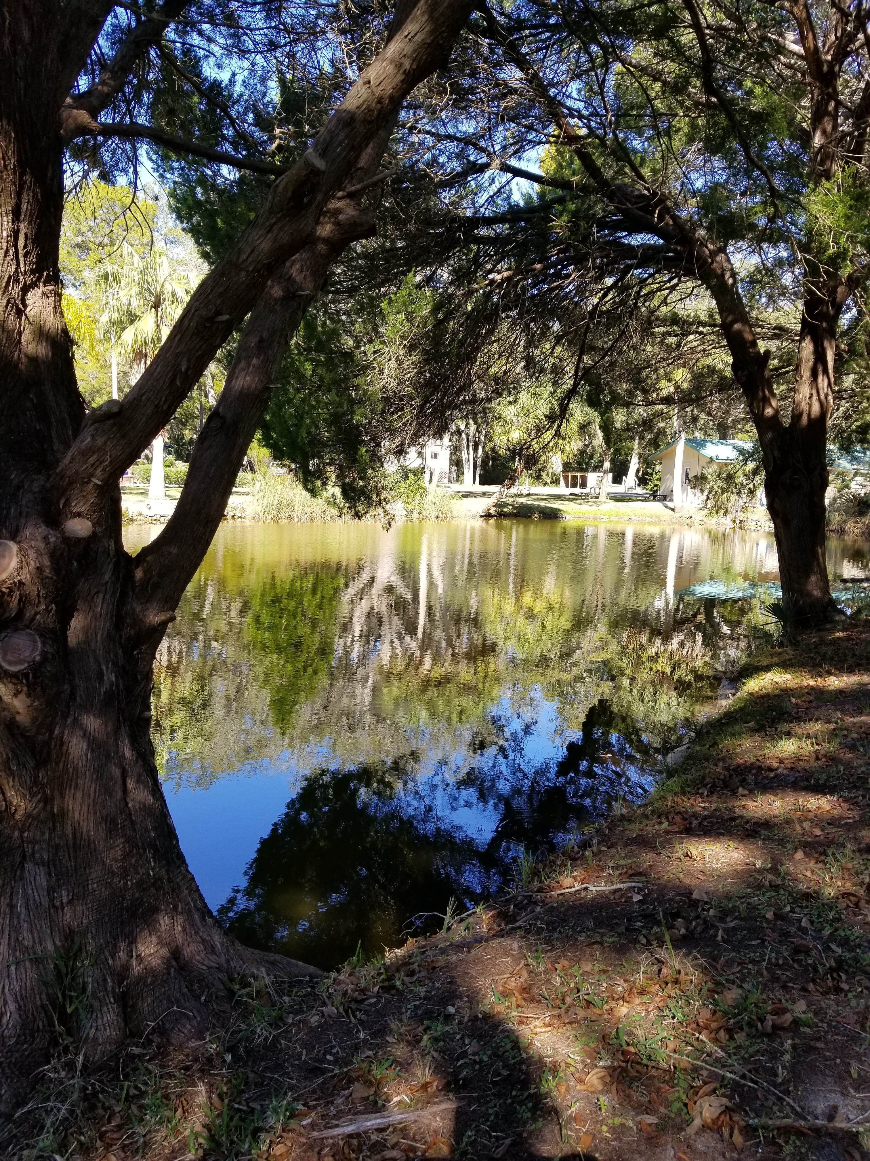 Camping near Homosassa River RV Resort: Cedars Lake MH & RV Park, Homosassa, Florida