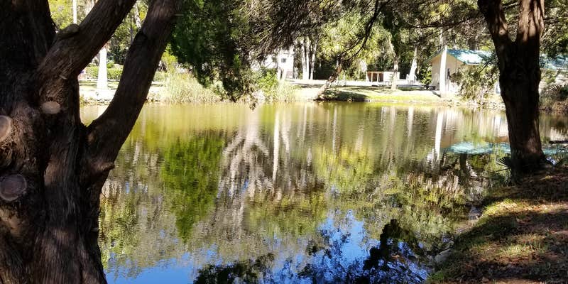 Camper submitted image from Cedars Lake MH & RV Park