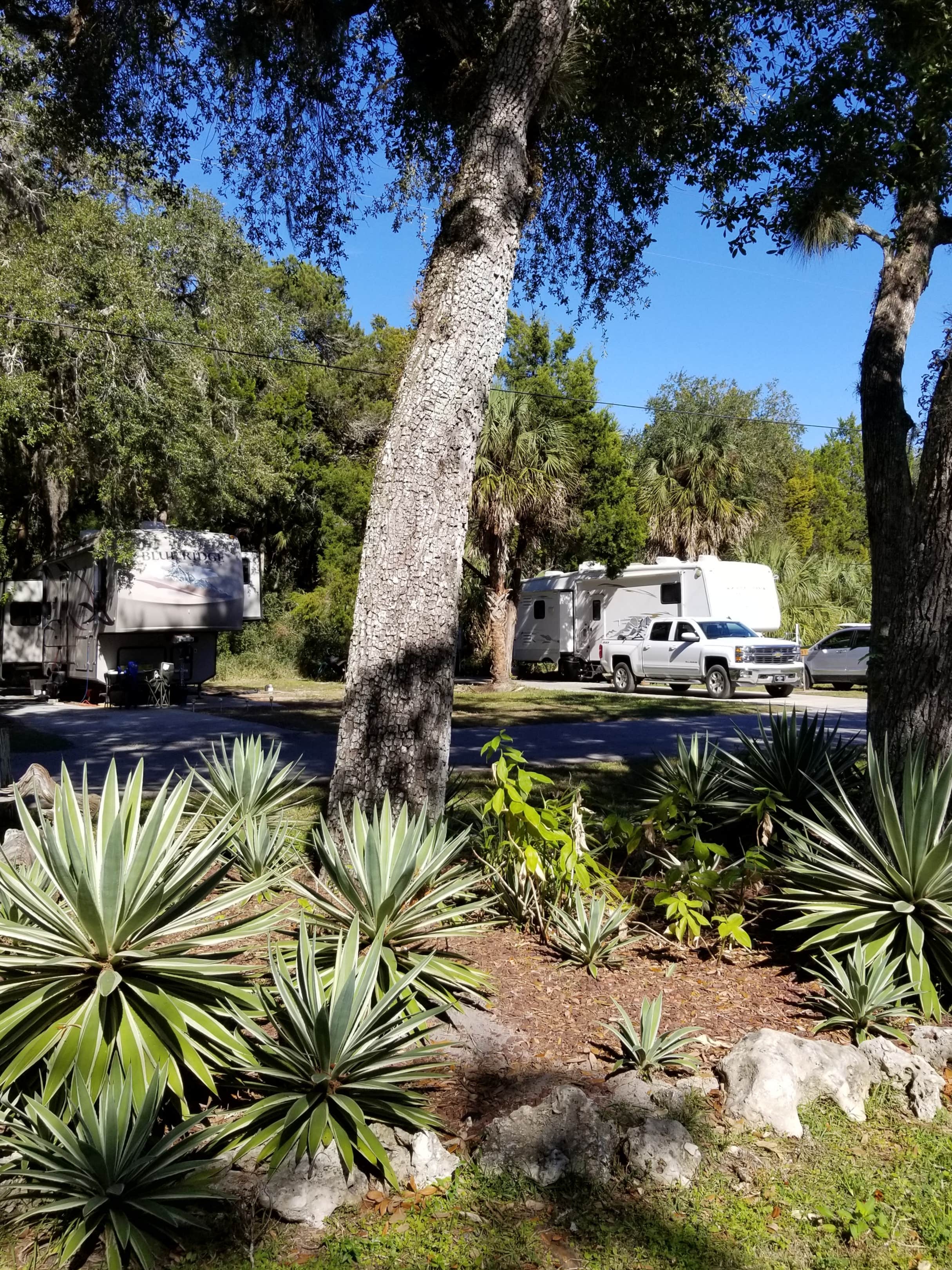 Camper-submitted photo at Cedars Lake MH & RV Park near Crystal River, FL