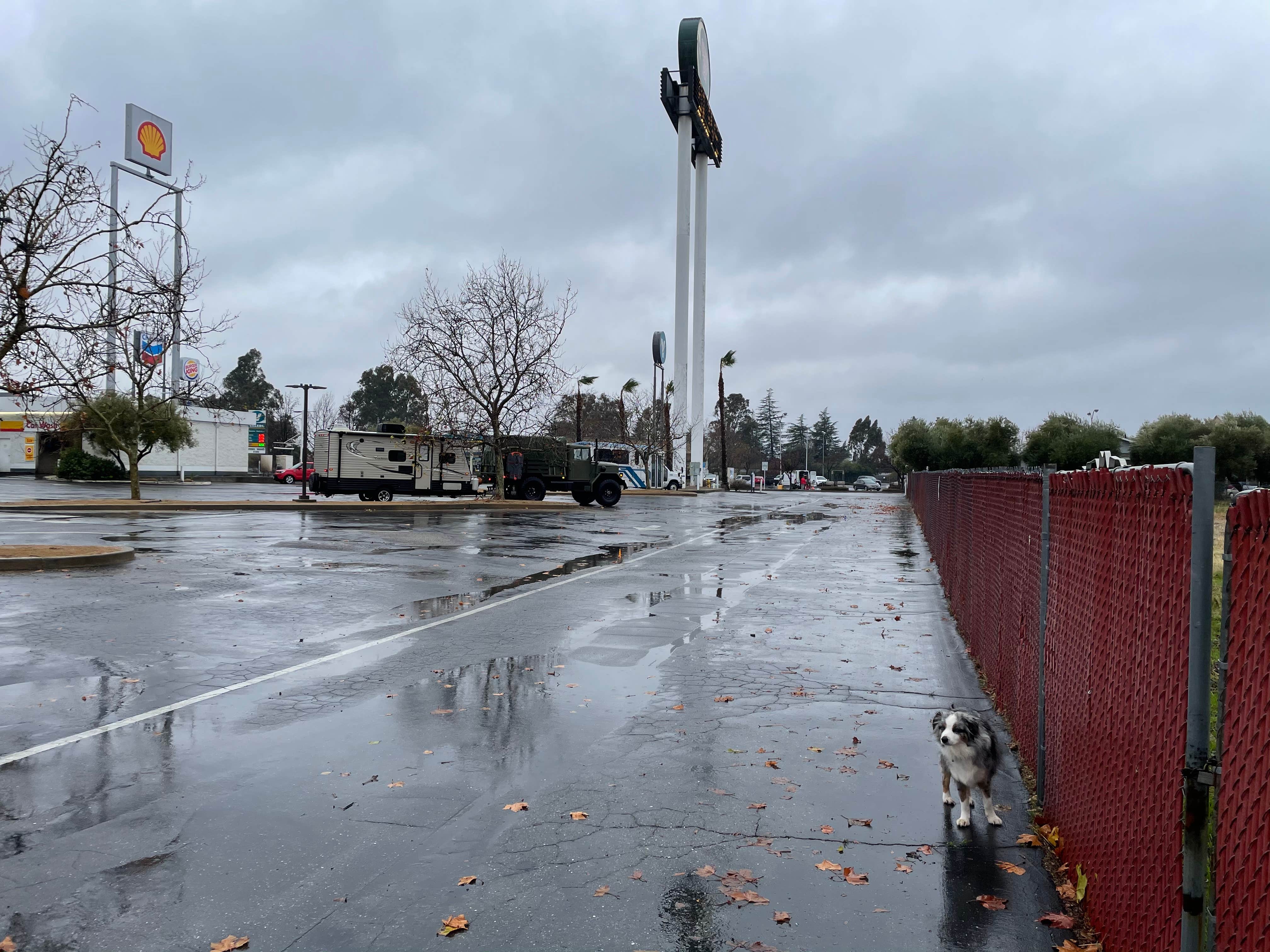 Jody S.'s photo of camping with pets at Olive Pit Dispersed Lot near Chico, CA