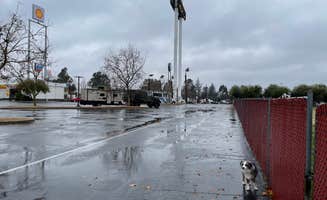 Jody S.'s photo of camping with pets at Olive Pit Dispersed Lot in California