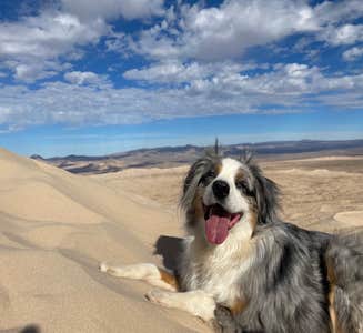 Camper-submitted photo from Kelso Dunes Dispersed — Mojave National Preserve