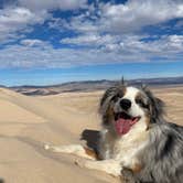 Review photo of Kelso Dunes Dispersed — Mojave National Preserve by Jody S., January 20, 2021