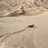 Review photo of Kelso Dunes Dispersed — Mojave National Preserve by Jody S., January 20, 2021