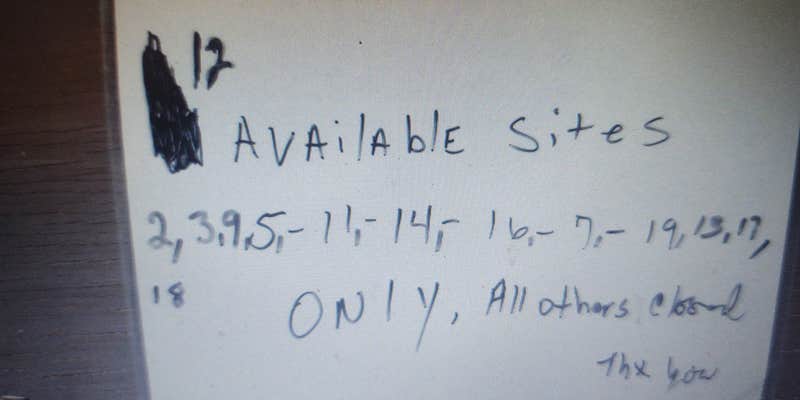 Camper submitted image from River Junction Campground — Withlacoochee State Forest