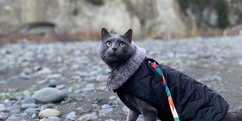 Camper submitted image from Van Duzen County Park - Pamplin Grove