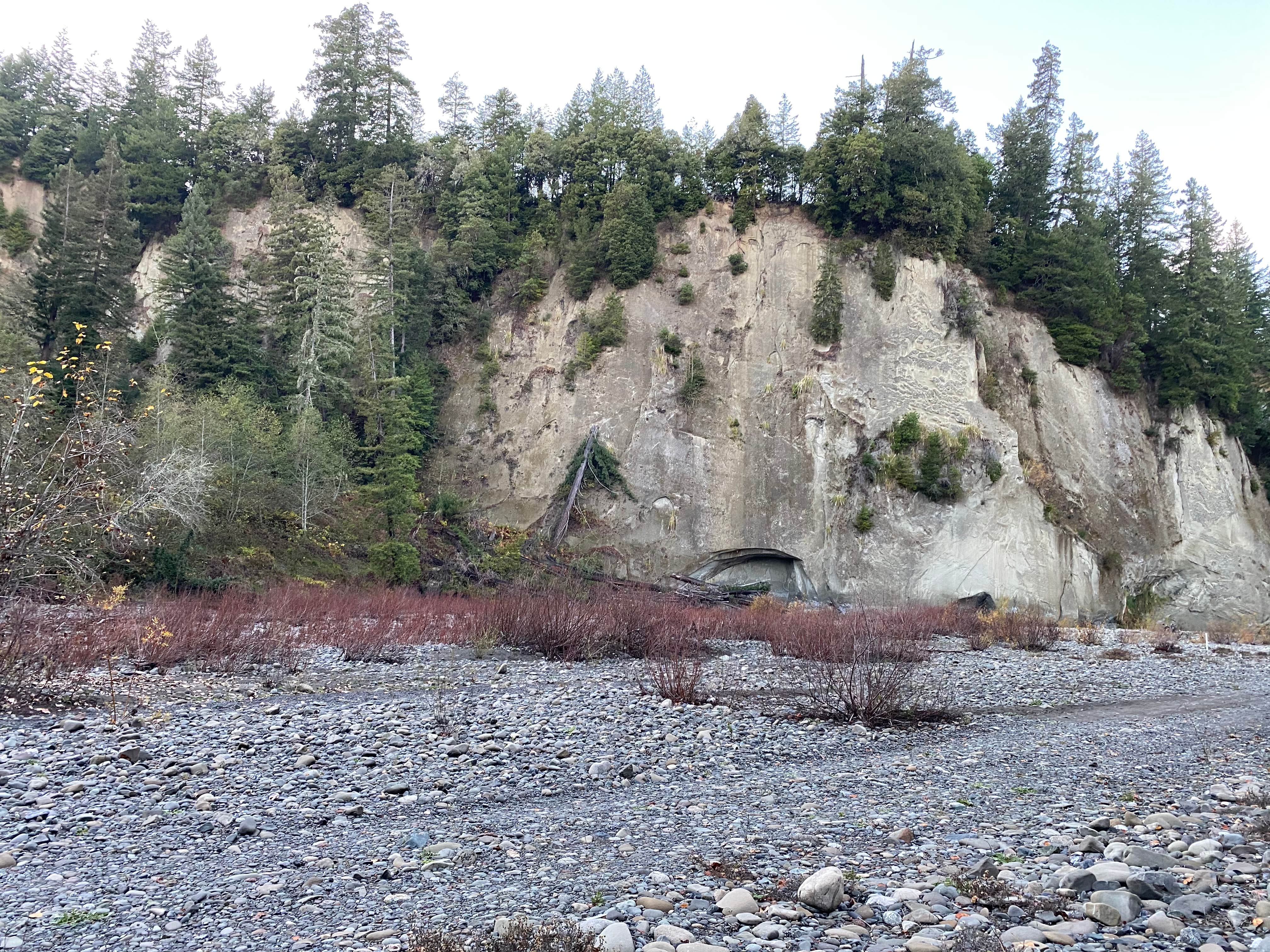 Camper-submitted photo at Van Duzen County Park - Pamplin Grove near Bridgeville, CA